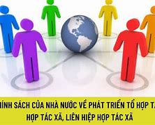 Các Chính Sách Hỗ Trợ Phát Triển Hợp Tác Xã Nông Nghiệp