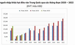 Kim Ngạch Xuất Nhập Khẩu Của Trung Quốc Năm 2021 Là