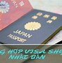 Visa Chờ Shyu Là Gì